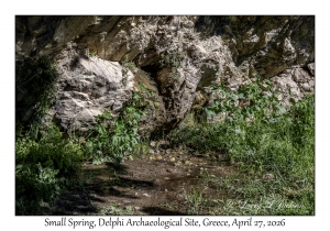 2026-04-27#6643 Spring, Delphi Archaeological Site, Greece