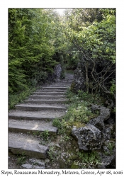Trail Steps