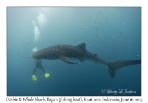 Debbie & Whale Shark