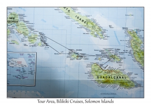 Tour Area, Bilikiki Cruises